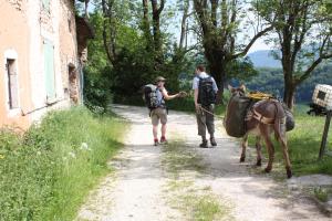 B&B / Chambres d'hotes Valcaris: gites, chambre d'hotes et tables d'hotes : photos des chambres