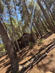 Cabaña Ananda Río Mundo