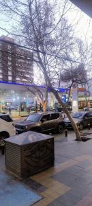 Aires de Naturaleza - Mendoza Capital