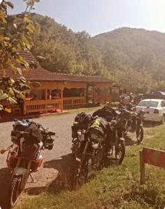 Camp Svetigora