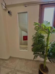 Green Suite