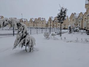 Les jardins dIfrane 405