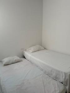 Oferta noclegów 17198697