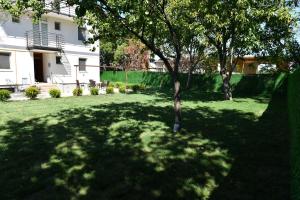 Vila Mile - Petrovaradin