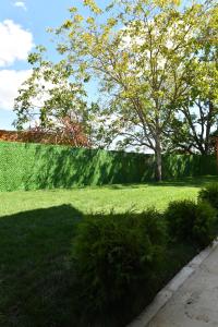 Vila Mile - Petrovaradin