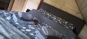 Domki w cieniu sosen Pilchy
