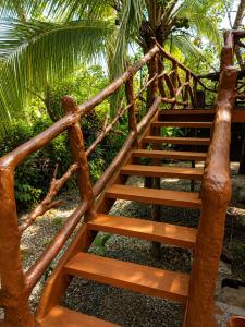 Tree House River