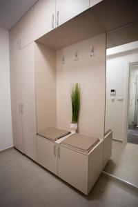 Luxury apartment Mihajlo
