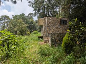 Cabaña suspendida a media montaña en sintropico mx