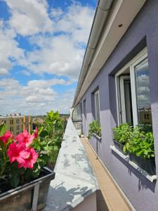 Luxurious, floral penthouse terrace and sauna