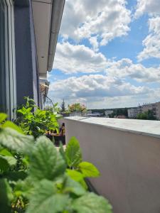 Luxurious, floral penthouse terrace and sauna