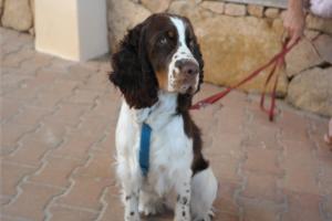 Sardinia Blu Residence img41