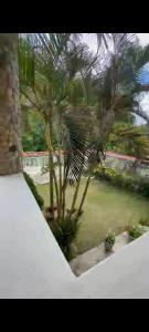 zuly 2