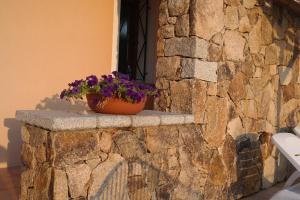 Sardinia Blu Residence img59