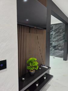 Soba 501 apartman