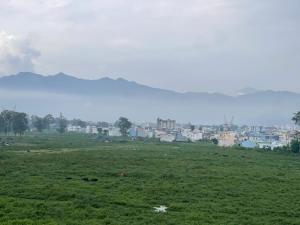 Nivara Stay,Rishikesh