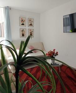 Oferta noclegów 17200185