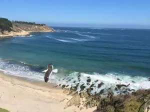 Departamento 43D Condominio Cau Cau - 普琼卡维