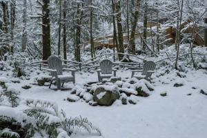Mid-century Cabin Hideaway - Hot Tub & Fire Pit