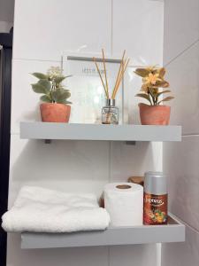 Elegant and centrally-located apartment in Asunción-1A