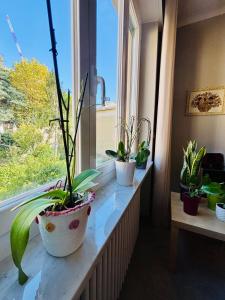 Casa Luce