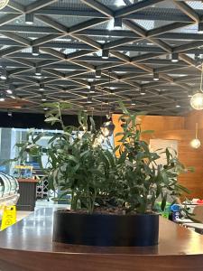 Oldcity hotels istanbul