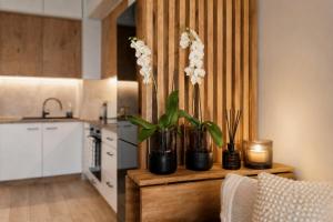 Elegant 1-Bedroom Flat With Balcony Near Wrocław