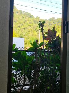 Residencia en Orizaba Terraza y linda vista