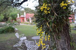 Hostería Bello Horizonte