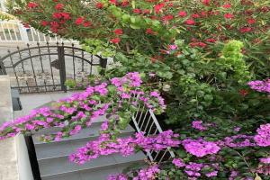 Villa Bind - Superior Double Room with Patio and Garden View R2