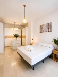 Oferta noclegów 17202432