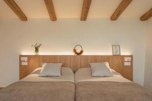 Cozy Apartment in Volcanic Valley near Girona