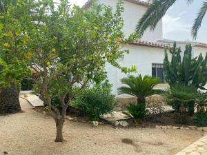 Family villa with pool in Javea