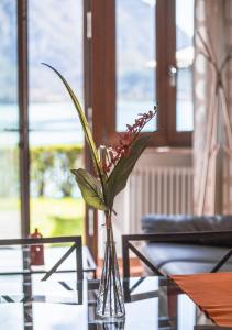 Serena Charme Green Holiday