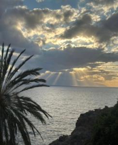 Marazul Sunset