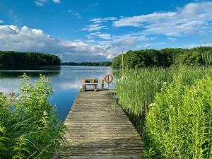 Wooden house with field views near Dummer Lake