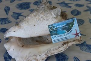 Appartamento Stella Marina
