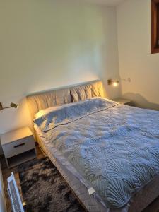 Oferta noclegów 17202605