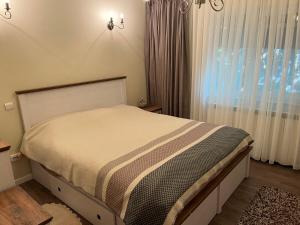 Oferta noclegów 17202629
