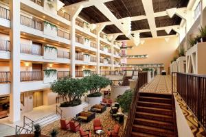 Hilton Stockton