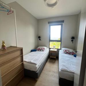 Oferta noclegów 17203058