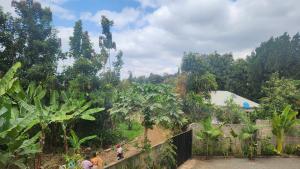 Ndiga Cabin Boutique