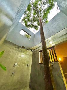 Calm Villas