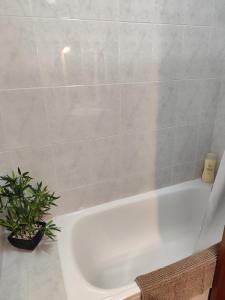 Oferta noclegów 17203642
