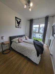 Apartament Poezji Premium prywatne miejsce parkingowe balkon