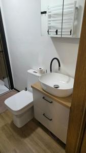 Oferta noclegów 17203654