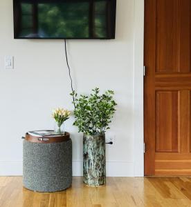 Artisan Suites on Bowen