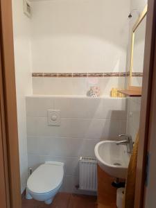 Oferta noclegów 17203686