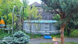 Dacha Pool and Grill