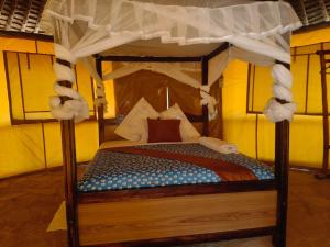 Eco tent lodge